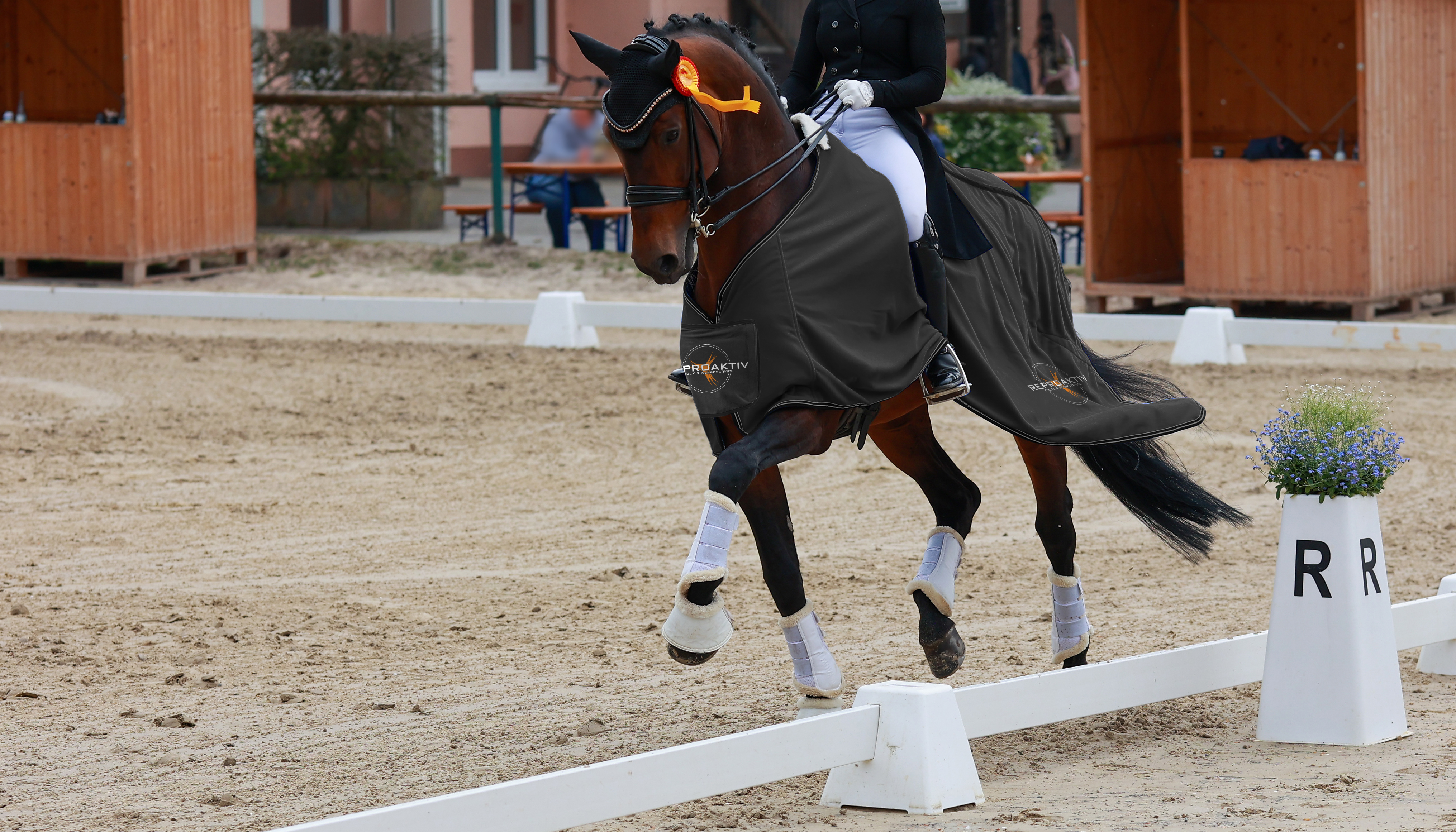 Ein Pferd im Dressurwettbewerb mit einem Reiter in schwarzem Outfit auf einem Sandplatz.