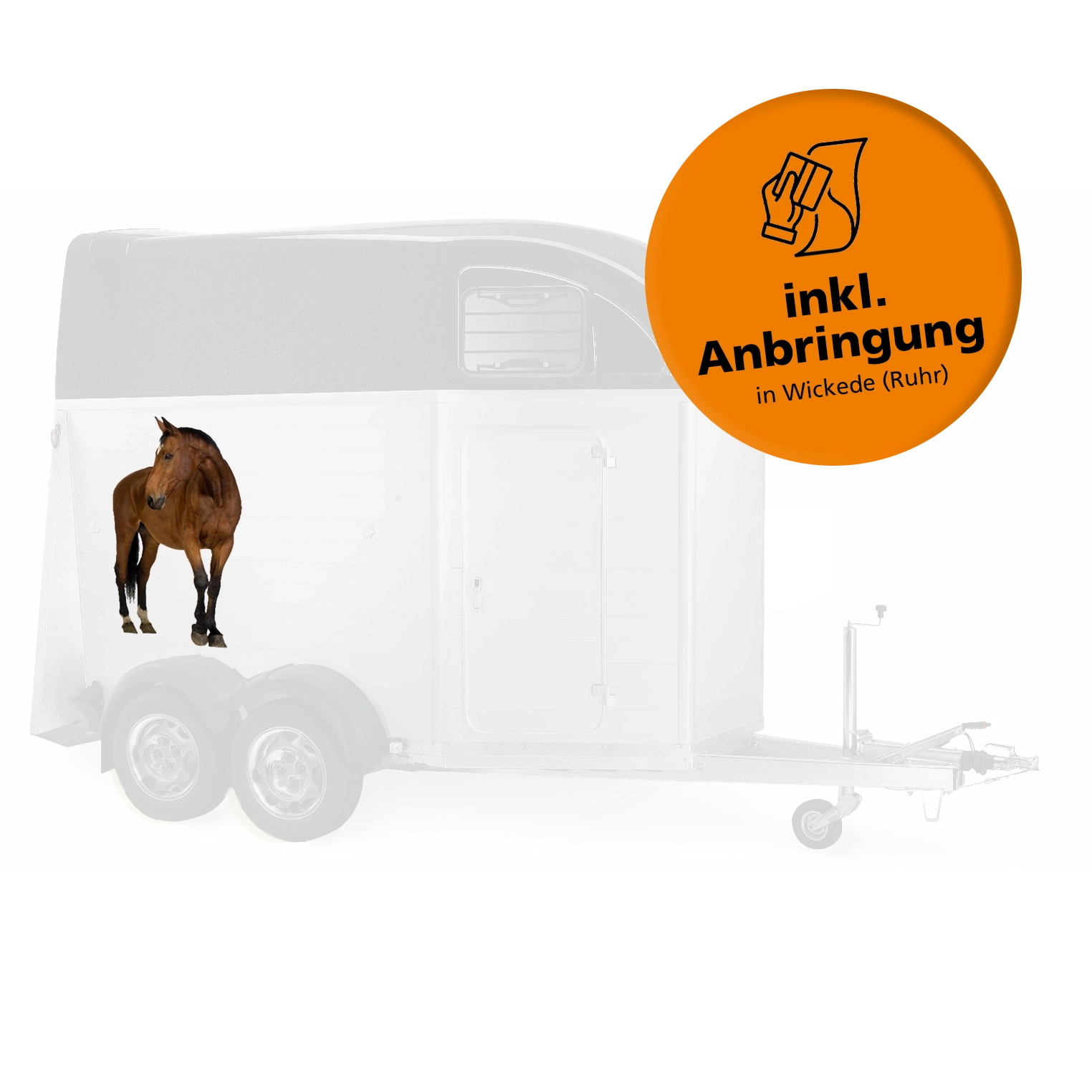 Individueller Pferdeanhänger-Aufkleber Set – personalisiertes Design  800x1000 mm inkl. Anbringung in Wickede (Ruhr)