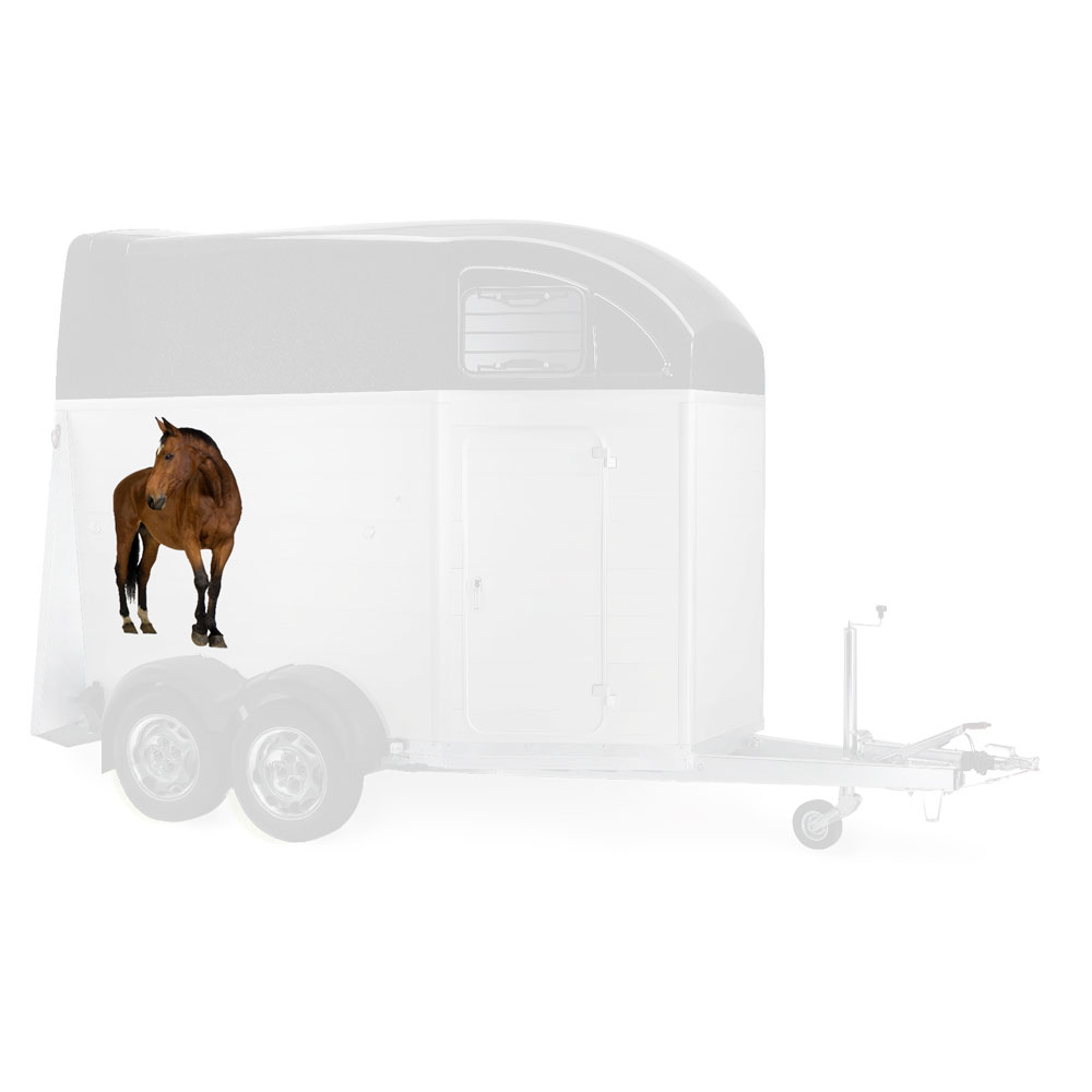 Individueller Pferdeanhänger-Aufkleber Set – personalisiertes Design  800x1000 mm
